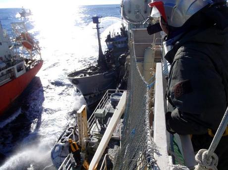A photo taken from the Japanese whaling ship Nisshin Maru of Sea Shepherd ship Bob Barker. (AFP Photo)