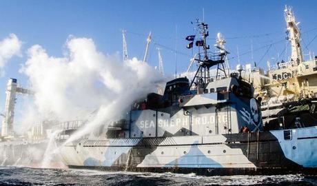 The Sea Shepherd ship Steve Irwin smoke stacks billowing steam after Japanese whalers and militant conservationists clashed dangerously in icy waters off Antarctica. (AFP Photo)