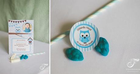 A Blue Owl Themed Party for a 1st Birthday by Little Dimple Designs