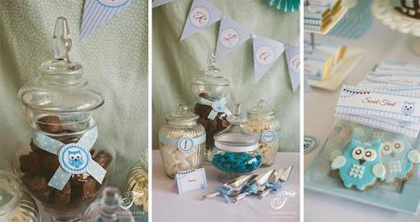 A Blue Owl Themed Party for a 1st Birthday by Little Dimple Designs