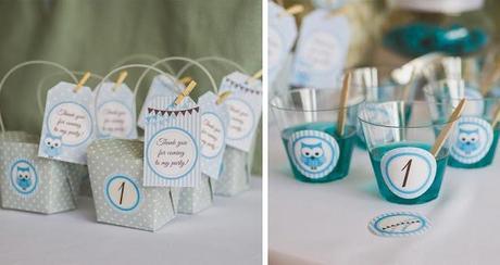 A Blue Owl Themed Party for a 1st Birthday by Little Dimple Designs