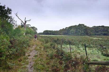 track next to mount richmond national park