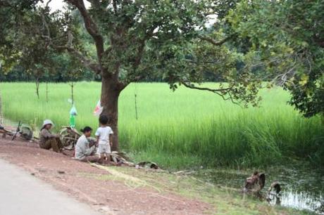 This is Cambodia