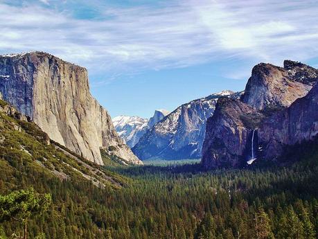 Yosemite Junior Ranger Writes Adorable Letter Apologizing For Taking Sticks Home