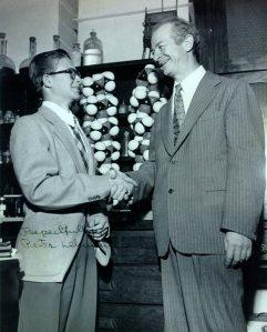 Linus Pauling shaking hands with Peter Lehman in front of two models of the alpha-helix. 1950s.