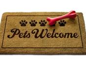 Friendly Colorado Springs