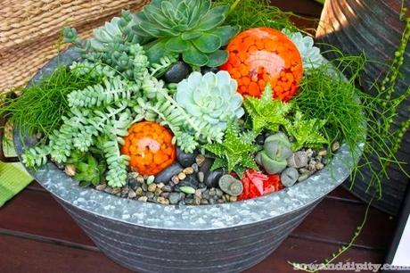 Succulent Tub