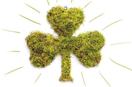 Make a moss shamrock for your door