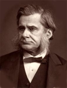 T.H.Huxley(Woodburytype)