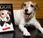 ‘The Artist’ Uggie Comes Retirement Good Cause