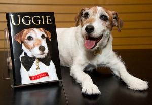 ‘The Artist’ dog Uggie comes out of retirement for a good cause