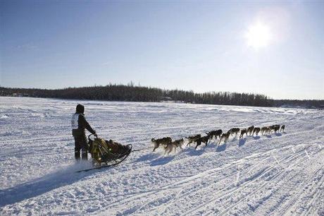 Iditarod 2013: The Last Great Race Begins Tomorrow!