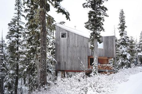 Alpine Cabin by Scott & Scott Architects