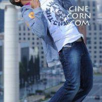 thumbs jr ntr baadshah photos leaked stills pics images gallery 2 Jr NTRs Rocking Baadshah Posters