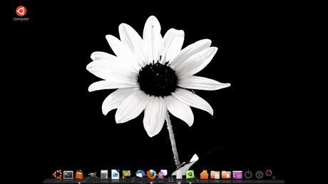 linux mint with cairo dock