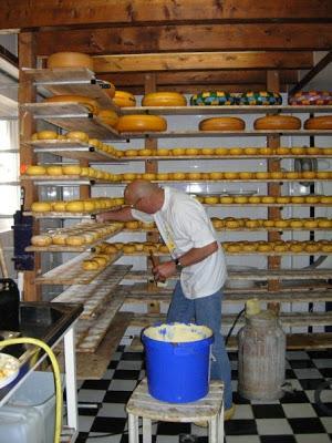 Cheese Maker in Edam, Netherlands