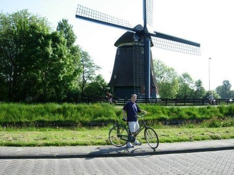 Windmill in Edam, Netherlands