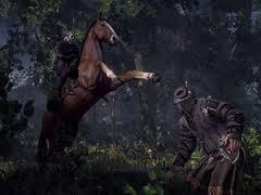 S&S; News: The Witcher 3: Wild Hunt Screenshots Released