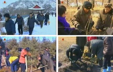 Tree planting activities held in the provinces on 1 March 2013 (Photos: KCTV screengrabs)