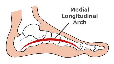 Medial Longitudinal Arch