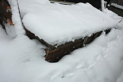 Snow gardening