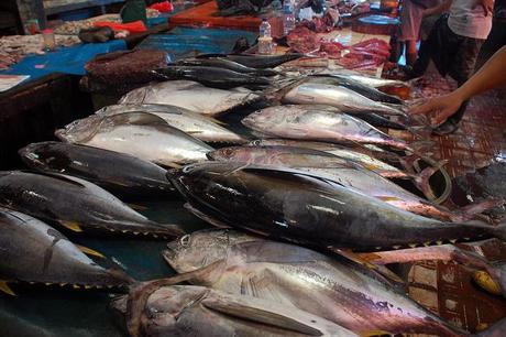 Sorong fish market