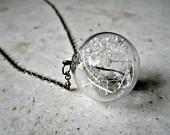 Glass Orb Dried Baby's Breath Terrarium Pendant - Heronandlamb