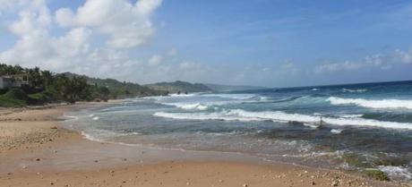 Bathsheba beach