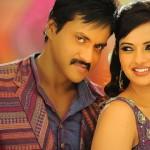 sunil-isha-chawla-mr-pellikoduku-movie-review-ratings-pics-images-posters