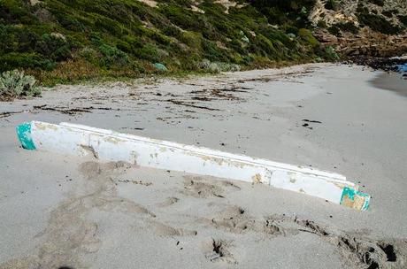 large piece of flotsam on beach