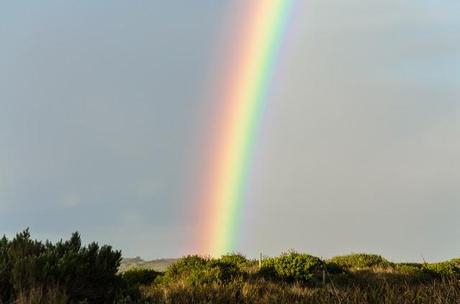 vibrant rainbow