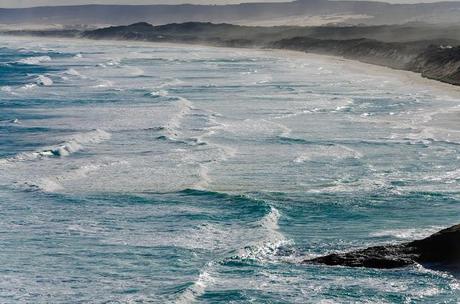 surf at discovery bay