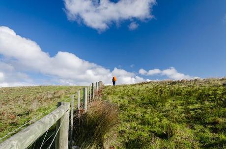 climbing hill next to fence