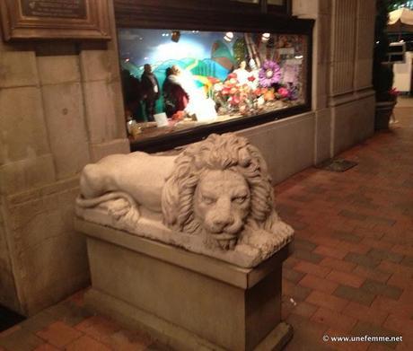 Go Bold Or Stay Home