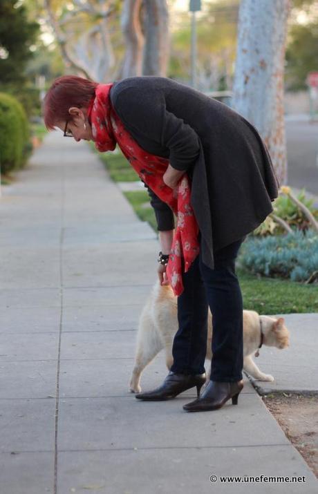 Go Bold Or Stay Home