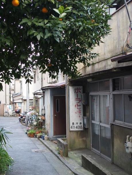 s P2230229 品川宿，高層ビル群のこぼれ陽が当たる路地裏 / alleys in Shinagawa,used to be the last post‐town on the road from Kyoto to Edo.
