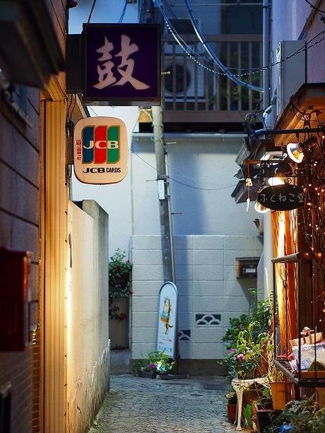 P2040064 しっとりとした裏路地，花街，神楽坂 / Kagurazaka,traditional Japanese atmosphere