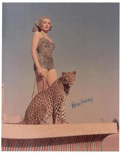 We need to get both this bathing suit and a leopard for Tilden this summer, don’t you think @alisonmatheny?