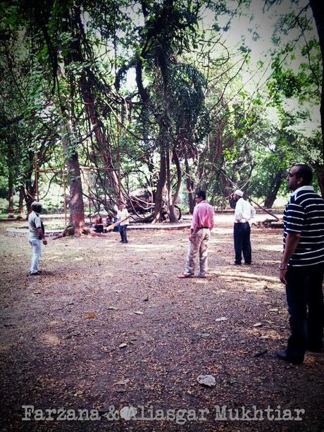 Cricket and Memories