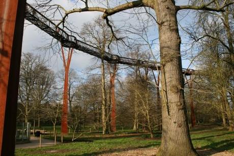 Treetop Walkway