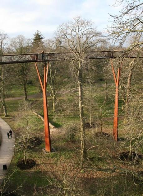 Treetop Walkway