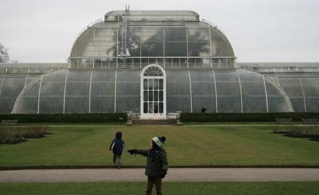 Palm House