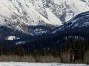 Iditarod 2013: Burmeister Winds Spirit Alaska Award, Falls Lead