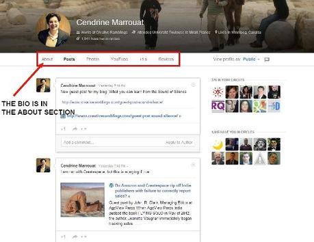 New Google+ profiles