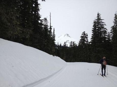 View of Mt. Hood from Teacup Lake trail