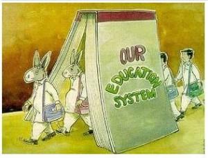 education system