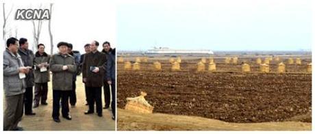 DPRK Premier Choe Yong Rim (image on L, C) visits a cooperative farm in South Hwanghae Province (Photos: KCNA)