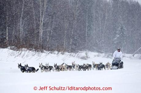 Iditarod 2013: Champions Lead The Way!