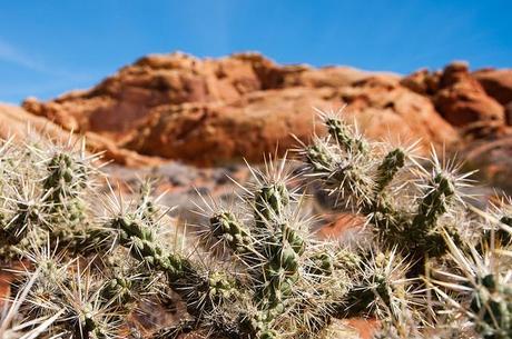 valley of fire 2013