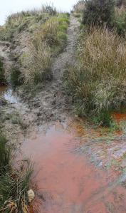 I didn't follow this path over the red water when I was on Goss Moor - I wonder where it might have taken me...